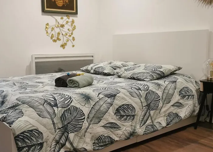 Green Cellar Logement neuf au Centre de Strasbourg